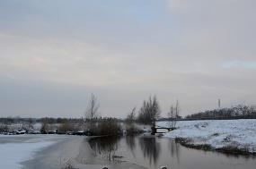 DSC_8005 Winter Budel-Dorplein