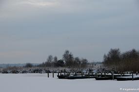 DSC_8045 Winter Budel-Dorplein