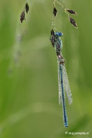 _DSC4953 Vroeg in de morgen