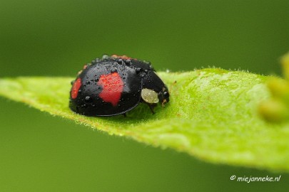 _DSC5002 Vroeg in de morgen