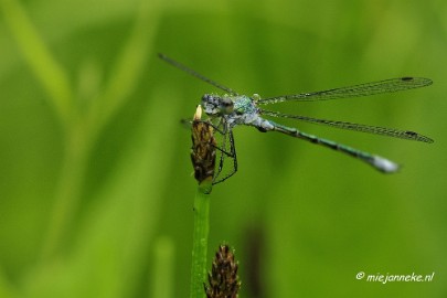 _DSC5024 Vroeg in de morgen