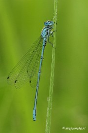 _DSC5039 Vroeg in de morgen