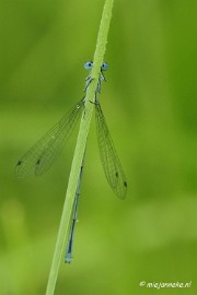 _DSC5051 Vroeg in de morgen