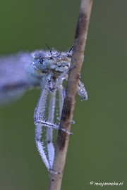 _DSC5567 Rondje Brabant