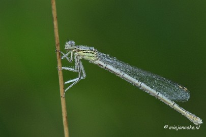 _DSC5590 Rondje Brabant