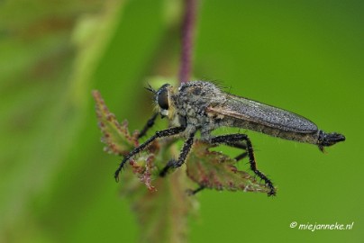 _DSC5604 Rondje Brabant