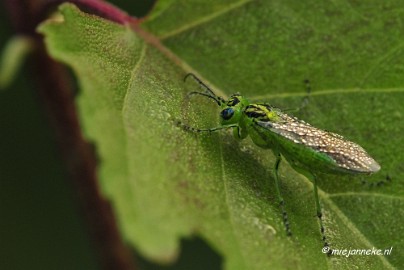 _DSC5624 Rondje Brabant