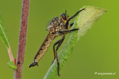 _DSC5647 Rondje Brabant