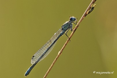 _DSC5682 Rondje Brabant