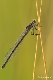 _DSC5707 Rondje Brabant