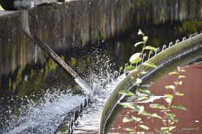 DSC_0318a Waterzuivering waterschap de Dommel Tilburg