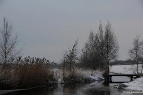 DSC_8055 Winter Budel-Dorplein