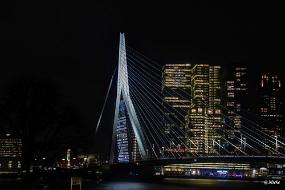 bdrotterdam 2020 15 Rotterdam 2020