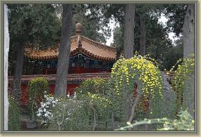 DSC_4342 De tuin van de keizer in de verboden stad Beijing