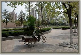 DSC_6833 Park of people Shanghai